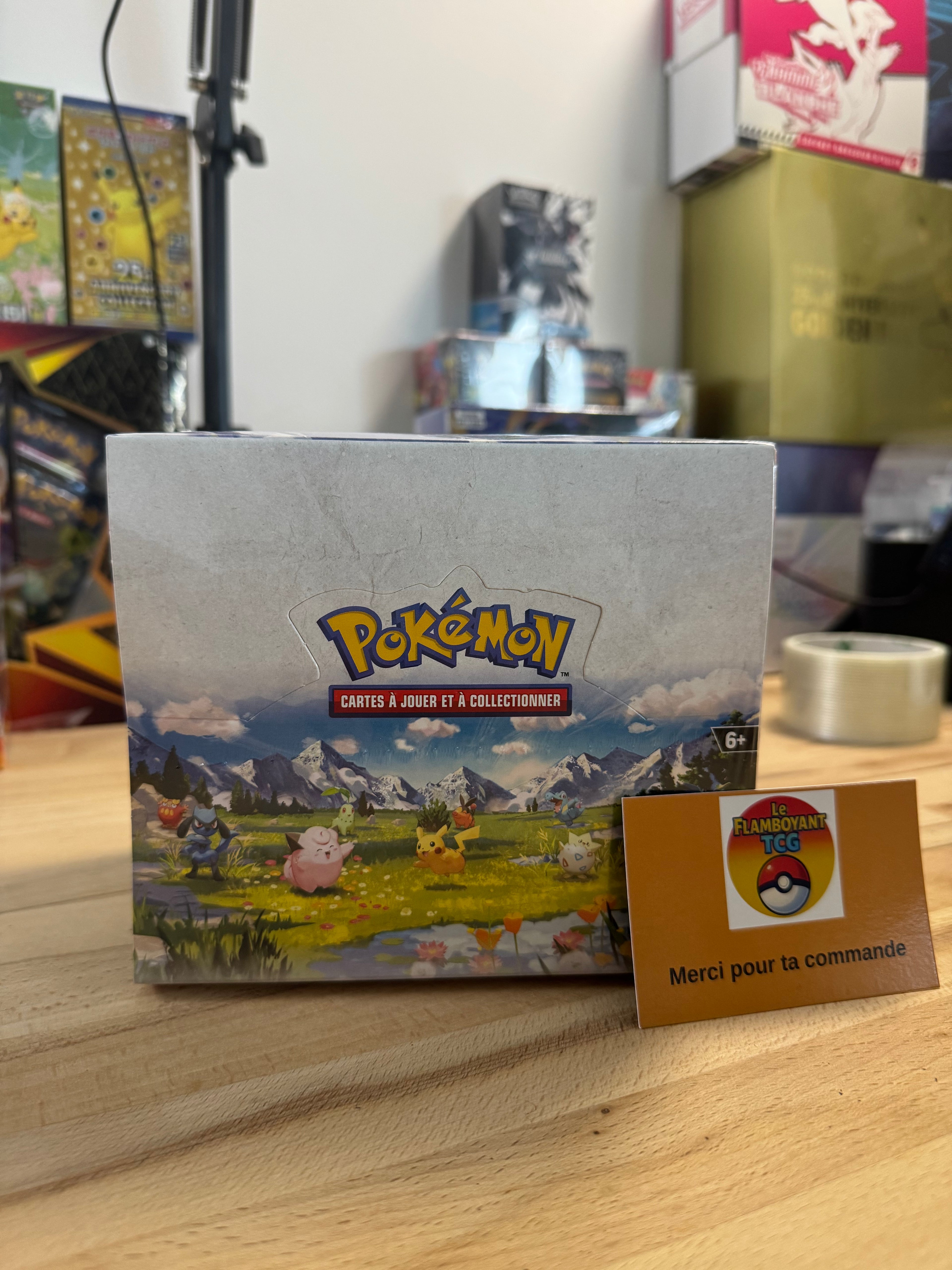 Display scellé – 10 Mini Tins – Pokémon – ME2.5 – Héros Transcendants –